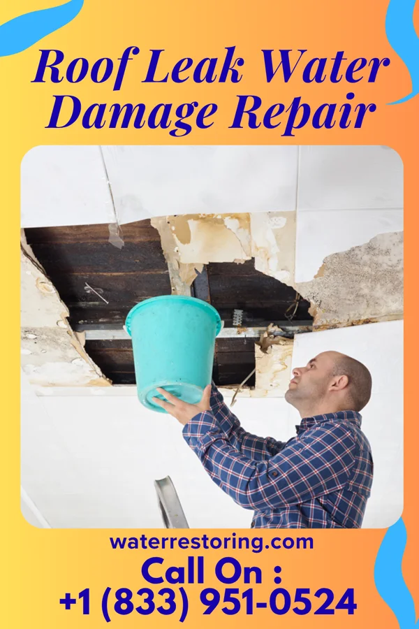 Roof Leak Water Damage Repair in Hidalgo, IL