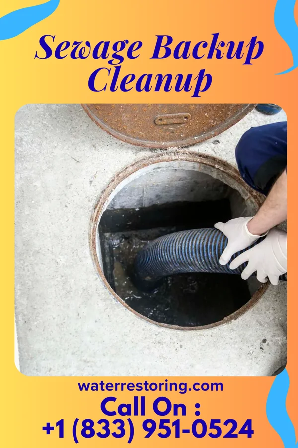 Sewage Backup Cleanup in Hidalgo, IL