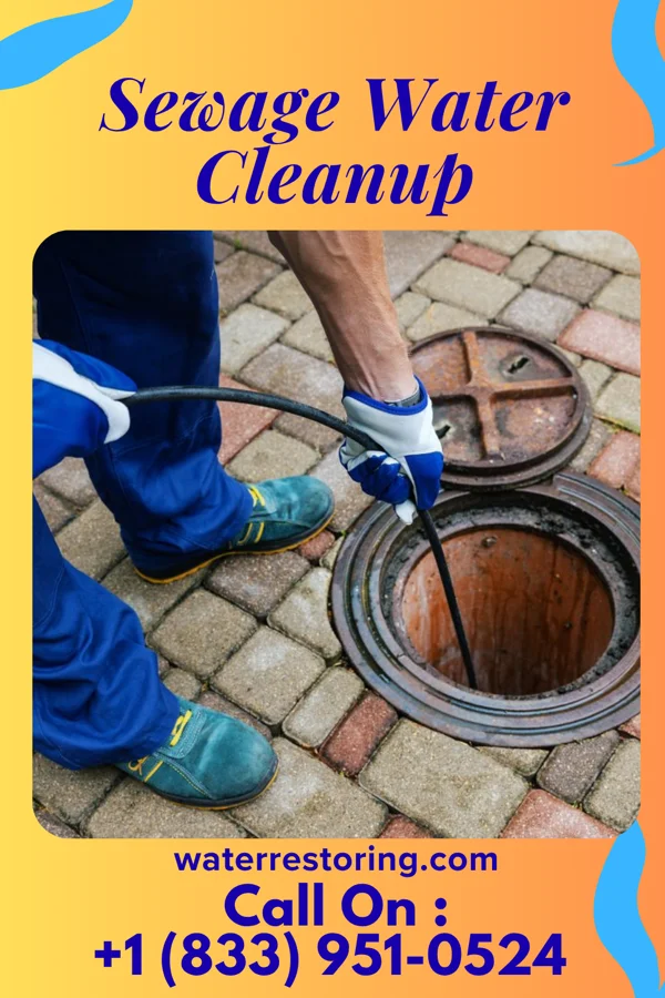 Sewage Water Cleanup in Hidalgo, IL