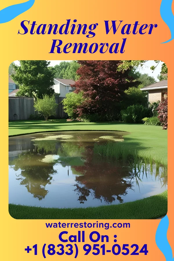 Standing Water Removal in Hidalgo, IL